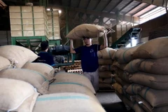 (Ảnh: Vũ Sinh/TTXVN)