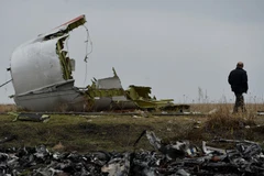 Xác máy bay MH17 bị bắn rơi. (Nguồn: Sputnik)