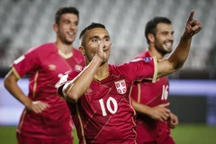 Serbia cần phải phát huy phong độ như ở vòng loại. (Nguồn: Getty Images)