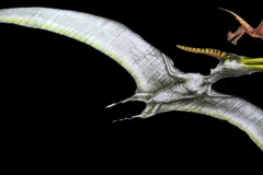 Phát hiện kinh ngạc về sự tiến hóa ở các loài cổ sinh vật biết bay