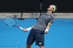Istomin tạo địa chấn trước Djokovic. (Nguồn: Daily Mail)