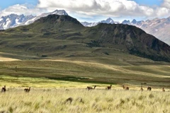 Gia đình tỷ phú Douglas Tompkins hiến tặng 407.000 ha rừng nguyên sinh. (Nguồn: bbc.com)