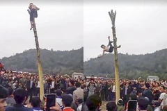 [Video] Yêu cầu kiểm tra thông tin về tai nạn ở Lễ hội Lồng Tồng