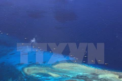 Tàu đánh cá Trung Quốc neo đậu tại bãi đá ngầm Chữ Thập thuộc chủ quyền Việt Nam ngày 17/7/2012. (Nguồn: AFP/TTXVN)