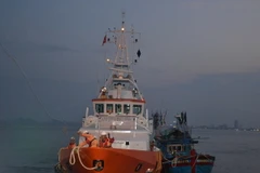 Ảnh minh họa. (Ảnh: Đinh Văn Nhiều/TTXVN)