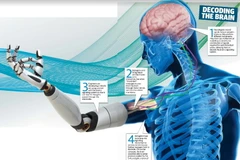 (Nguồn: Herald Sun)