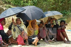Người tị nạn Rohingya tại khu trại tạm Kutupalong ở Ukhia, Bangladesh ngày 25/10, sau khi sơ tán khỏi bang Rakhine của Myanmar. (Nguồn: AFP/TTXVN)