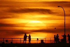 (Nguồn: newcastlestar.com.au)