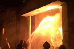 Ảnh minh họa. (Nguồn: TTXVN)