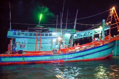 Ảnh minh họa. (Ảnh: Trung Hiếu/TTXVN)