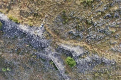 Thành phố cổ được phát hiện. (Nguồn: livescience)