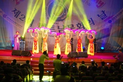 (Ảnh: Vũ Toàn-Phạm Duy/Vietnam+)