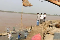 (Ảnh minh họa: Huỳnh Sử/TTXVN)