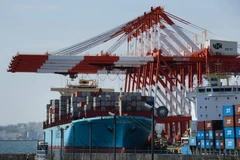 Ảnh minh họa. (Nguồn: The Japan Times)