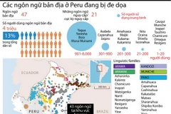 [Infographics] Các ngôn ngữ bản địa ở Peru đang bị đe dọa 