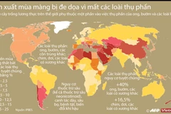 [Infographics] Sản xuất mùa màng bị đe dọa vì mất các loài thụ phấn