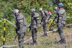 Binh sỹ Hàn Quốc rà phá bom mìn trong DMZ. (Nguồn: AFP)