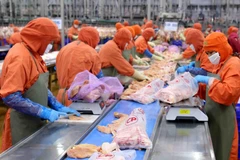 Ảnh minh họa. (Ảnh: Vũ Sinh/TTXVN)