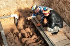 (Nguồn: China Plus)