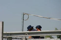 Lực lượng an ninh ở khu vực biên giới Serbian-Hungarian. (Nguồn: thelocal.at)