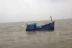 (Ảnh minh họa: Xuân Nguyên/TTXVN)