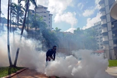 Phun thuốc khử trùng nhằm ngăn chặn sự lây lan của virus Zika tại Singapore. (Nguồn: THX/TTXVN)