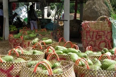 (Nguồn: Tiengiang.gov.vn)