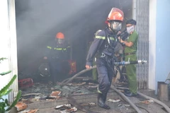 Ảnh minh họa. (Ảnh: Đinh Văn Nhiều/TTXVN)