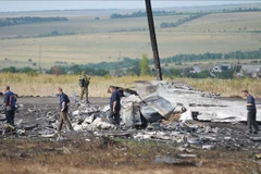 Hiện trường vụ máy bay MH17 bị bắn hạ. (Nguồn: AP)