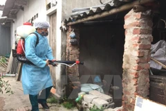 Phun hóa chất diệt muỗi tại một gia đình. (Ảnh: Đinh Tuấn/TTXVN)