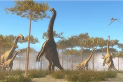 Loài khủng long này thuộc nhóm chân thằn lằn Sauropoda, ăn cỏ, 4 chân, có cổ và đuôi dài. (Nguồn: inquisitr.com)