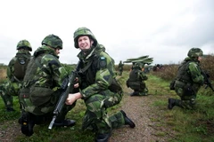 Lực lượng quân đội Thụy Điển. (Nguồn: forsvarsmakten.se)