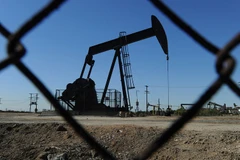 (Nguồn: AFP/Getty Images)