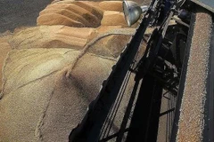 Ảnh minh họa. (Nguồn: TASS)