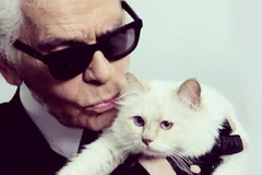 'Cô mèo' Choupette có thể được thừa kế tài sản của Lagerfeld. (Nguồn: The Times)