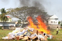 Ảnh minh họa. (Ảnh: Lê Thúy Hằng/TTXVN)