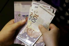 Ảnh minh họa. (Nguồn: Malay Mail Online)