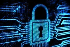 Ảnh minh họa. (Nguồn: habeyusa.com)