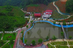 (Ảnh: Thế Duyệt/TTXVN phát)