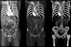 (Nguồn: Getty Images)