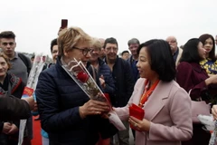 (Ảnh: Nguyễn Hoàng/TTXVN)