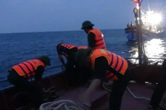 Ảnh minh họa. (Nguồn: Ảnh: Đức Thọ/TTXVN)