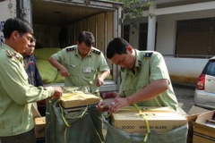 Lực lượng chức năng kiểm tra tang vật bị bắt giữ. (Ảnh minh họa: Đậu Tất Thành/TTXVN)