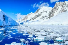 (Nguồn: Getty Images)