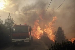 Khói lửa bốc lên từ đám cháy rừng ở Neo Voutsa, ngoại ô thủ đô Athens, Hy Lạp ngày 23/7. (Ảnh: EPA-EFE/TTXVN)