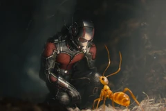 Một cảnh trong phim Ant-Man and the Wasp. (Nguồn: time.com)