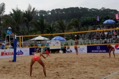 (Ảnh: Nguyễn Hoàng/TTXVN)