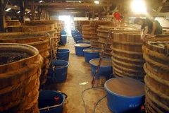 Cơ sở sản xuất nước mắm Hồng Đại tại thị trấn Dương Đông .(Ảnh: Thanh Vũ/TTXVN)