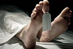 Ảnh minh họa. (Nguồn: newvision.co.ug)