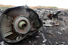 Hiện trường vụ máy bay MH17. (Nguồn: AFP/Getty Images)